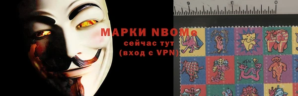 твердый Арсеньев