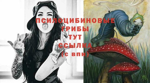 apvp Аркадак