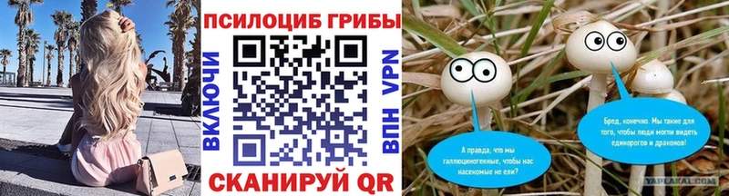 Псилоцибиновые грибы Psilocybe  как найти наркотики  Рудня 